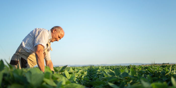 cultivador